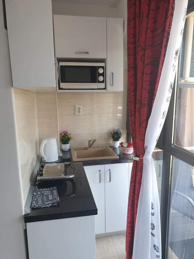 Apartament Alina Saturn Exterior photo
